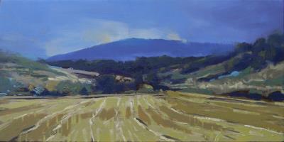 Harvest Past